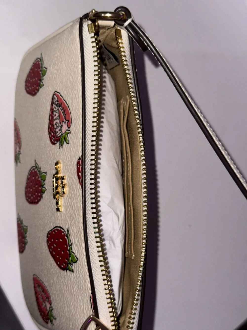 Coach Strawberry 🍓 Nolita 19 - Picture 3 of 5